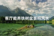 客厅能养铁树盆景吗风水;客厅养铁树盆景风水宜忌解析