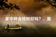 家中种金桔树好吗？、屋顶种金桔：风水讲究与家居吉祥之道
