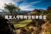 属龙人今年有没有孝服卖