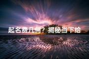 起名费几何？揭秘当下给孩子取名价格之谜