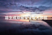 翊生成双鼠宝宝取名妙招大揭秘