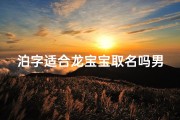 泊字适合龙宝宝取名吗男孩