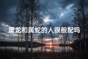 属龙和属蛇的人很般配吗