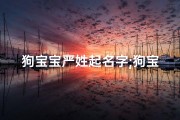 狗宝宝严姓起名字;狗宝宝严姓起名字大全