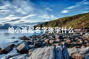 给小孩起名字张宇什么—《张宇：寓意高远，开启孩子无限天空》