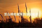 怎么样给属狗的宝宝起名(属狗起名字用什么字最好)