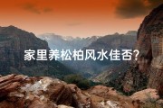 家里养松柏风水佳否？