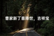 曹家新丁喜降世，吉祥宝宝名扬四海