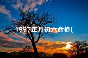 1997正月初六命格(1997年正月初六五行属什么)