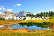 家里养蛇辟邪吗好吗风水_《家中养蛇风水秘籍：辟邪旺运之道》