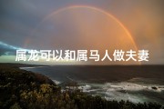 属龙可以和属马人做夫妻吗