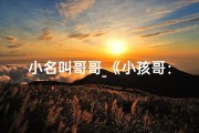 小名叫哥哥_《小孩哥：揭秘网络新宠儿的魅力人生》