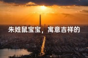 朱姓鼠宝宝，寓意吉祥的男孩名字揭晓