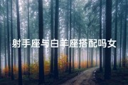 射手座与白羊座搭配吗女孩子_《射手白羊女：激情碰撞的火象传奇》