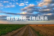 姓氏取网名,《姓氏网名吉凶测试：解码命运密码》
