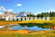 男孩牛宝宝取名字大全吴(牛宝宝吴姓男孩阳刚硬气的名字)