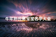 牛年孙氏男宝宝名字大全;《2024龙年孙姓宝宝取名大全：吉祥如意好名字推荐》