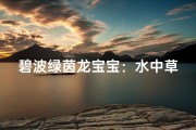 碧波绿茵龙宝宝：水中草间灵动名