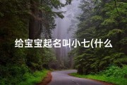 给宝宝起名叫小七(什么字和七字最搭配)