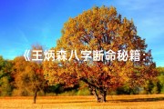 《王炳森八字断命秘籍：揭秘命运密码》