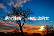 萌宝降临：小名绽放的女孩世界