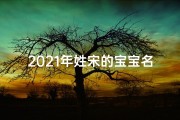 2021年姓宋的宝宝名字(《宋猪宝宝：温馨育儿记》)