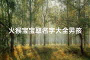 火猴宝宝取名字大全男孩(2025年出生的男孩命理解析,属猴的男孩叫什么名字好)