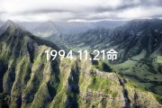 1994.11.21命格、1994.11.26命运