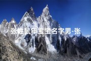 张姓鼠年宝宝名字男-张姓鼠年男孩最合适的名字
