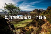 如何为兔宝宝取一个好听的名字？
