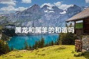 属龙和属羊的和谐吗