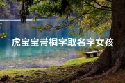 虎宝宝带桐字取名字女孩