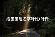给宝宝起名字叶姓(叶氏男宝宝取名字)
