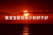 兔宝宝取名张少珩好不好—张少什么好听的名字
