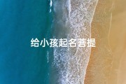 给小孩起名菩提