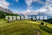 牛宝宝适合用什么字取名字,《牛宝宝巧用遥字，创意取名新风向》