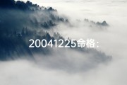20041225命格：揭秘神秘命运密码