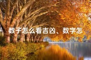 数子怎么看吉凶、数字怎么看吉凶