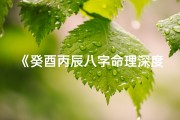 《癸酉丙辰八字命理深度解析大全》
