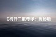《梅开二度奇缘：揭秘触发命格之谜》