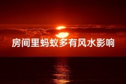 房间里蚂蚁多有风水影响吗,房间里有蚂蚁会对人有害吗