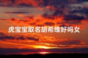 虎宝宝取名胡希维好吗女孩_姓胡的虎宝宝