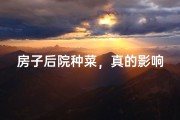 房子后院种菜，真的影响风水吗？