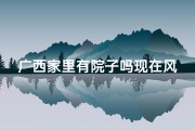 广西家里有院子吗现在风水;广西庭院风水揭秘：院子布局影响运势大揭秘