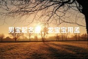 男宝起名孟、龙宝宝用孟字取名，寓意非凡的男孩名字揭晓