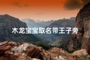 木龙宝宝取名带王子旁