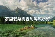 家里栽桑树吉利吗风水好吗