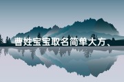 曹姓宝宝取名简单大方、《曹石姓龙宝宝取名大全：创意美名汇聚》