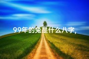 99年的兔是什么八字,99年生辰八字揭秘：探寻你的命运密码