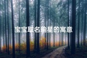 宝宝取名瑜星的寓意